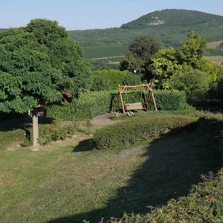 Apartament Gerecse View *